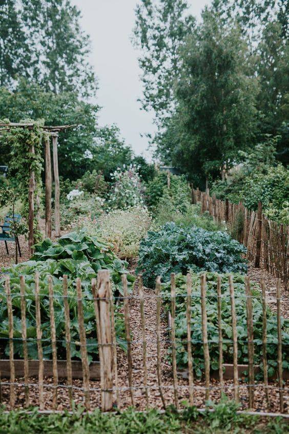 Farmhouse Garden