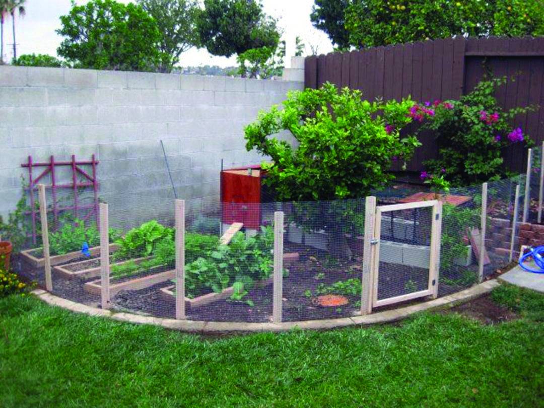 Un Vrai Potager De La Nouvellefrance Garden Fence