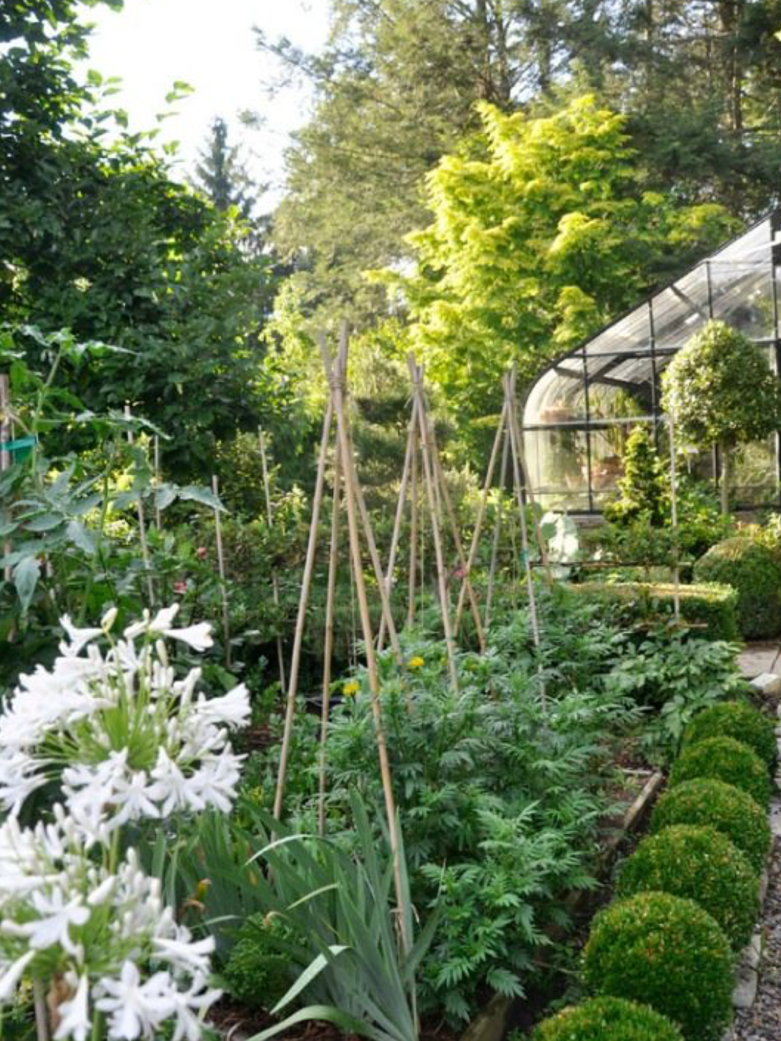 Very Beautiful Backyard Vegetable Garden Designs