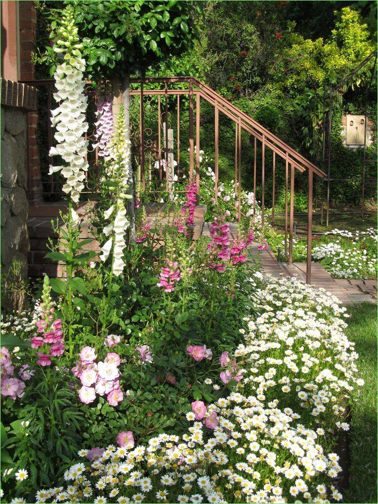 Lovely Mixed Border Cottage Garden