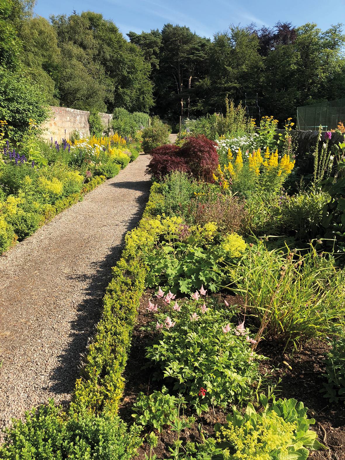 Garden Maintenance Scotland