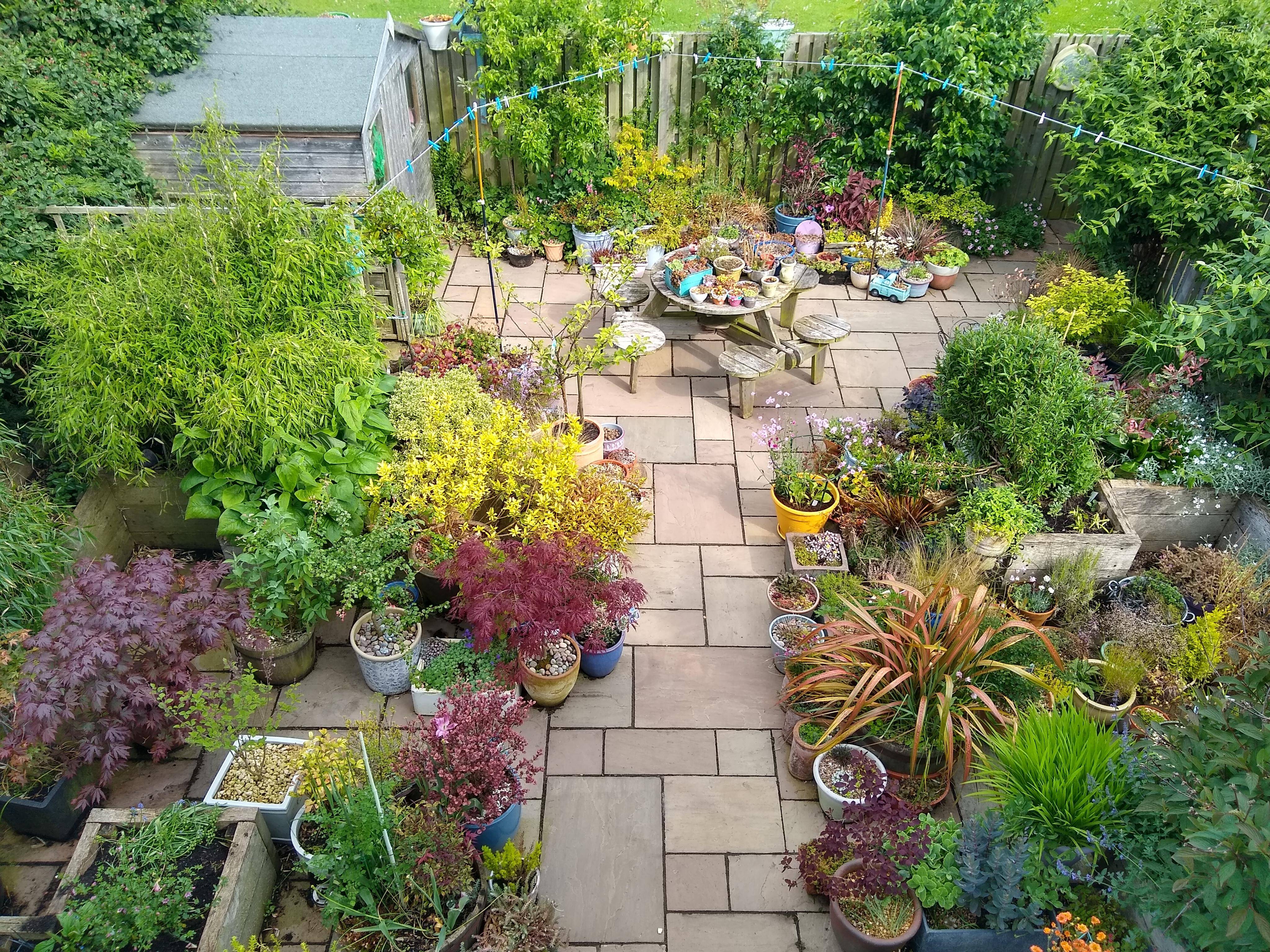 Gardening Scotland Gardenscotland Twitter Contemporary Garden