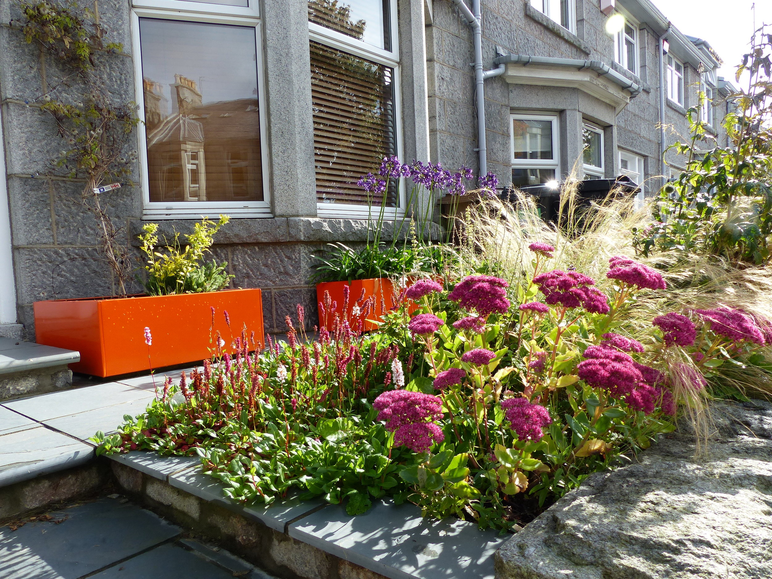 Scottish Garden