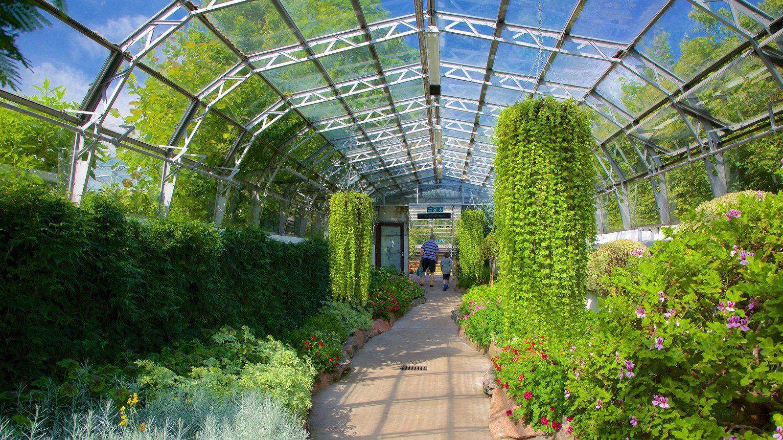 22 Aberdeen Garden Ideas To Try This Year SharonSable