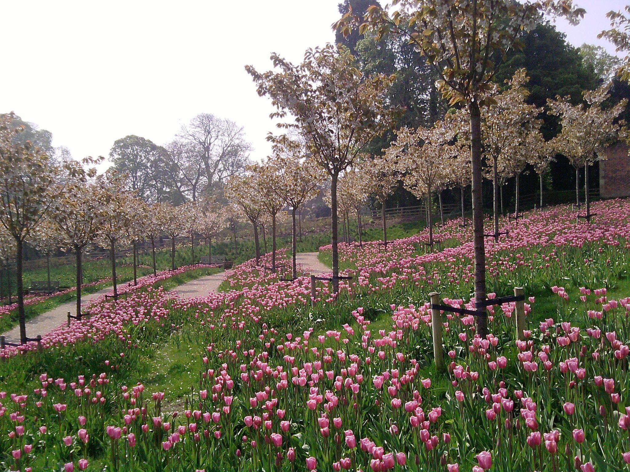 Beer Garden Alnwick Unique And Different Design Ideas