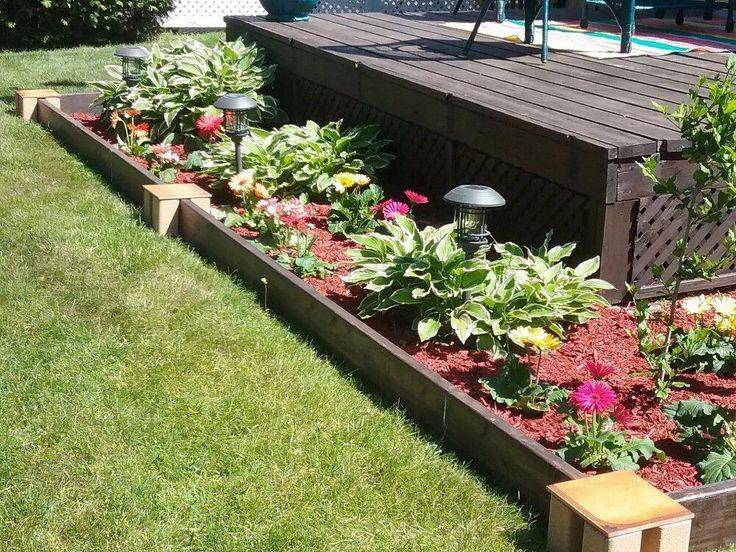 Brilliant Cheap Garden Edging Ideas