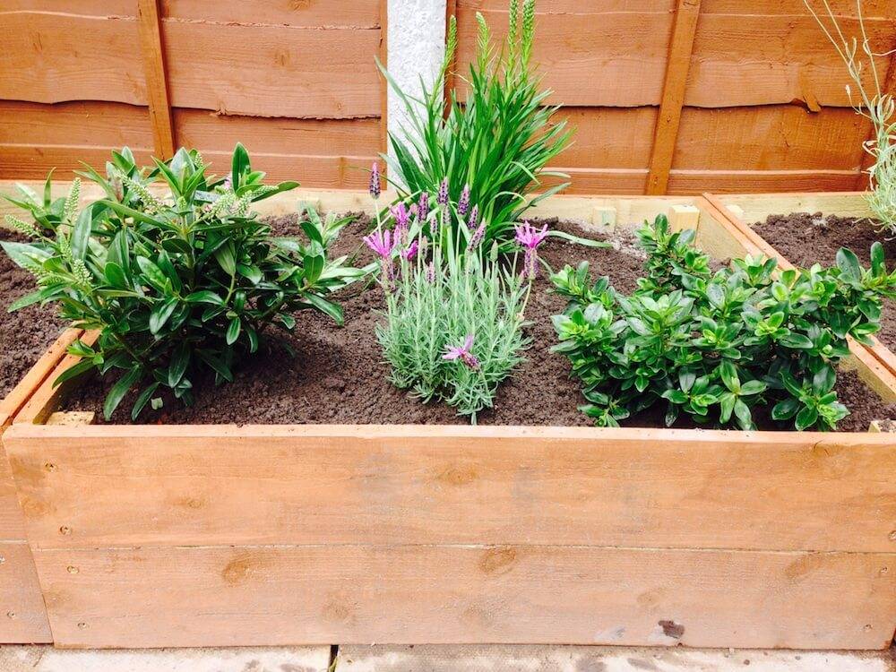 Beautiful Garden Edging Landscape Ideas