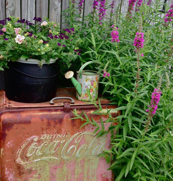 Prim Garden