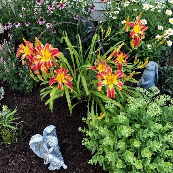 Prim Garden