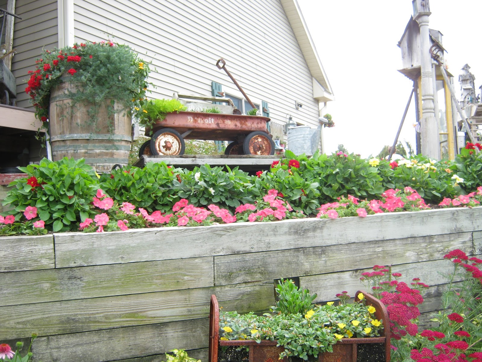 Creative Gardening