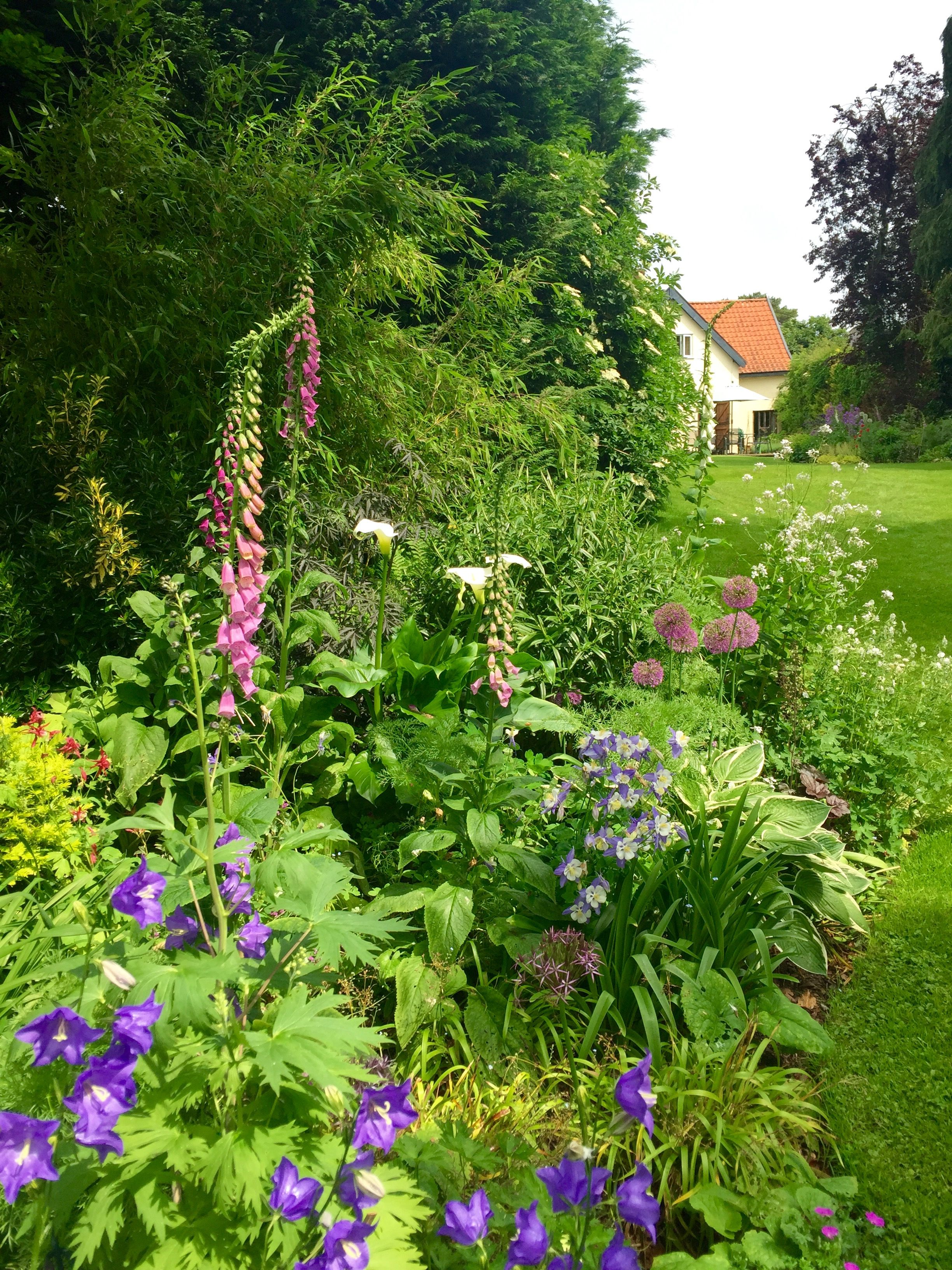 Garden Maintenance