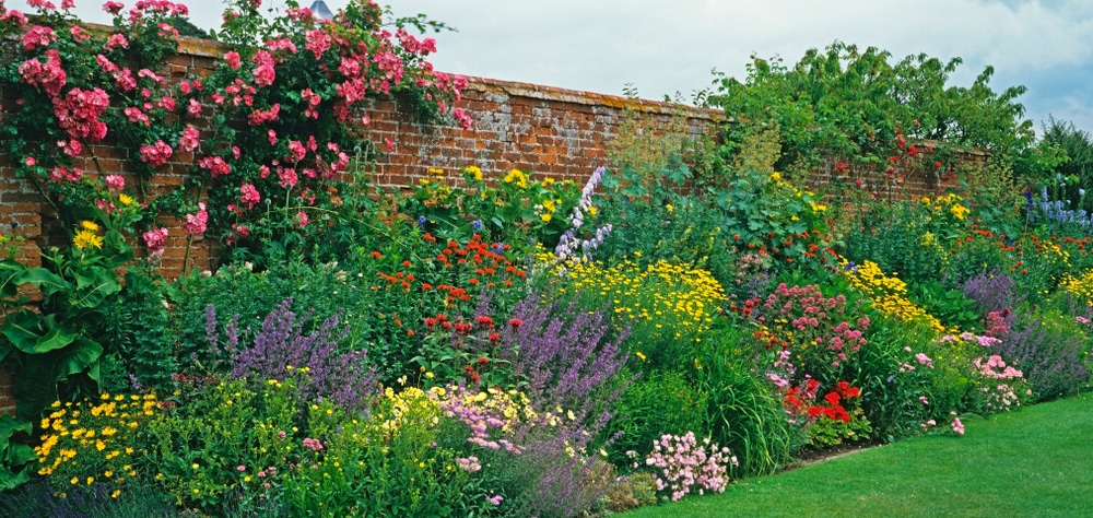 Garden Border Designs
