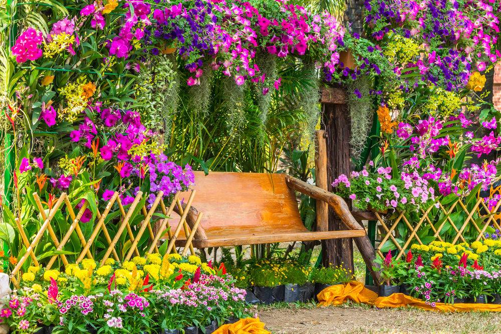 Colorful Flower Garden Ideas Color Bursts