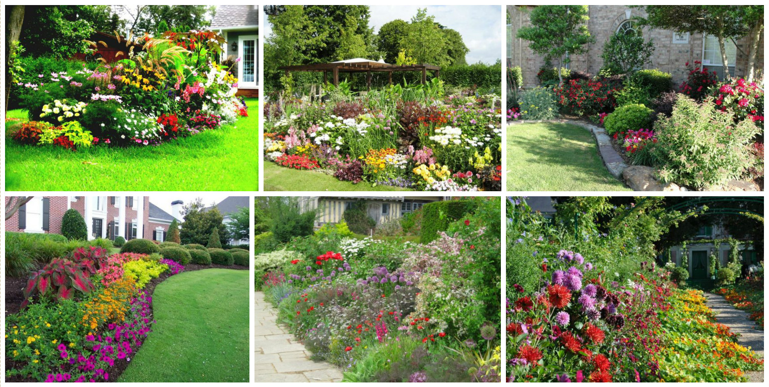 A Colorful Perennial Garden