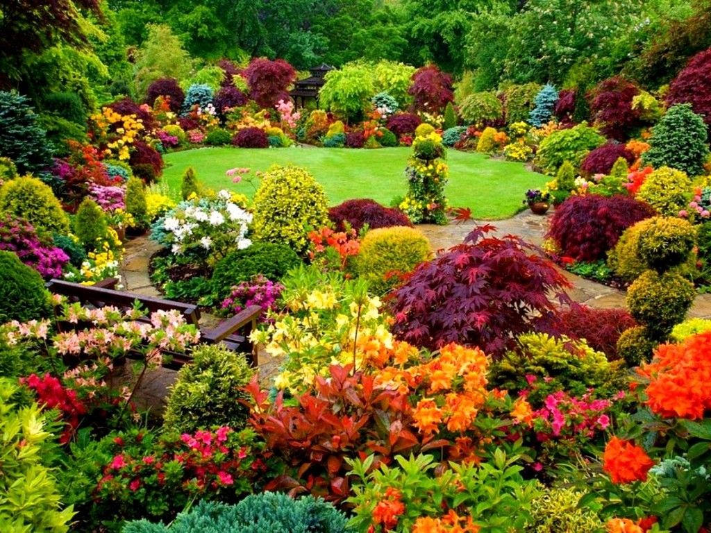 This Colorful Garden Plan