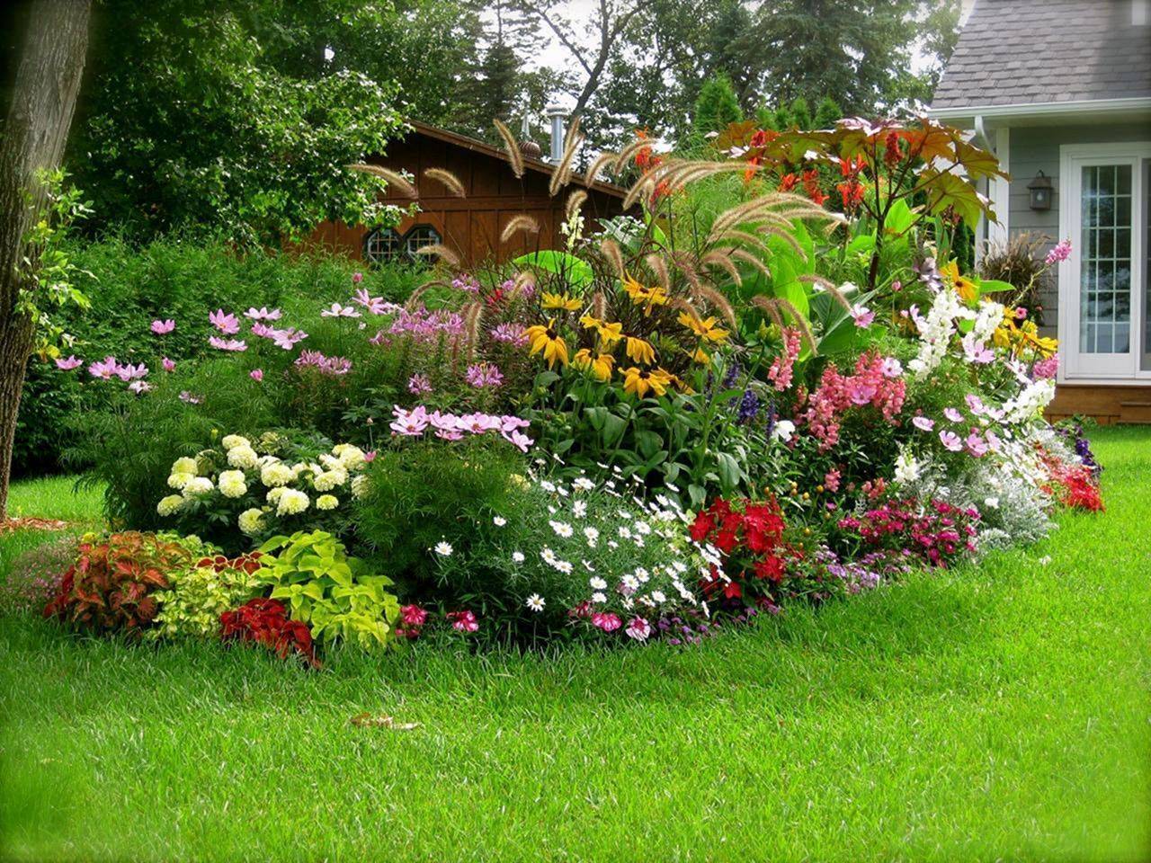 Flower Garden Landscaping Lawn