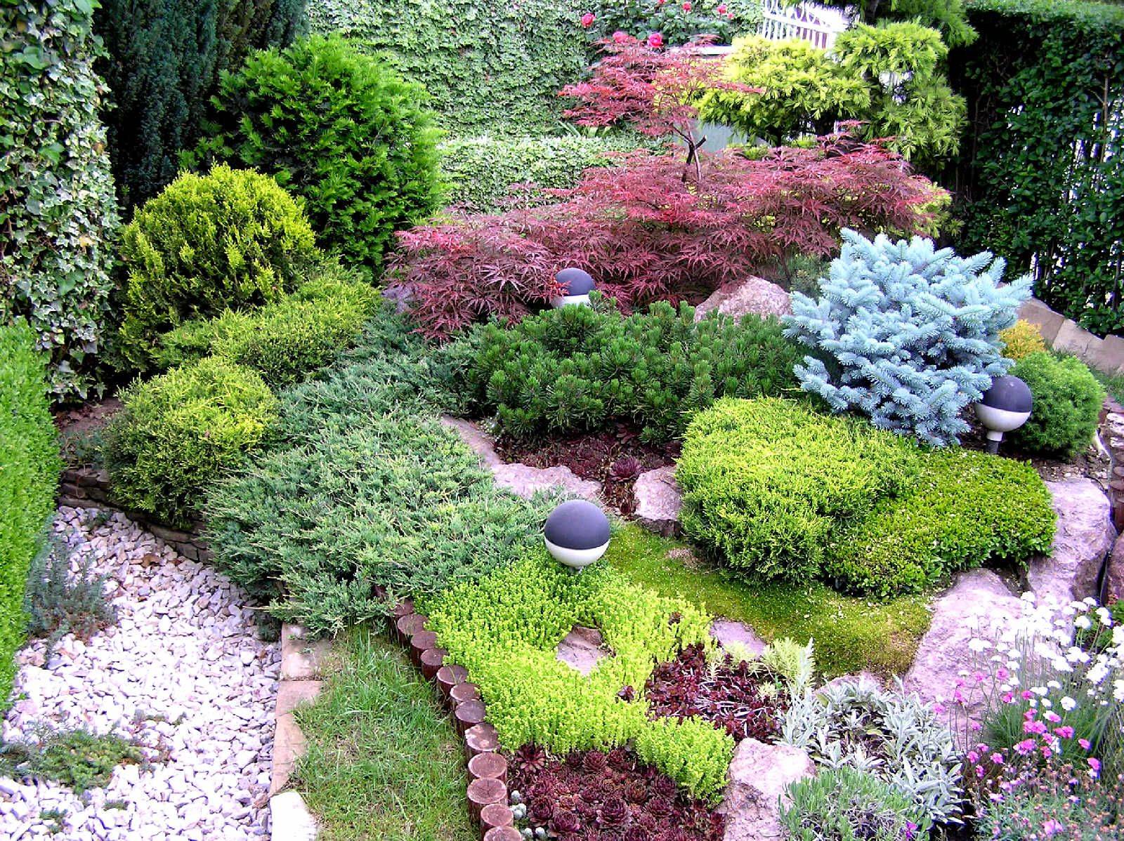 Small Garden Designs