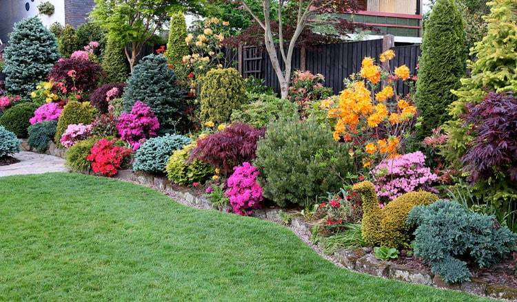Rock Garden Ideas