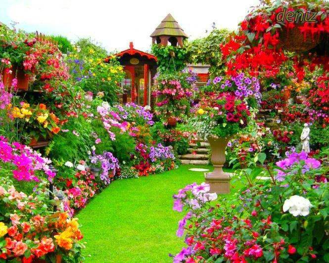 Amazing Flower Garden Ideas