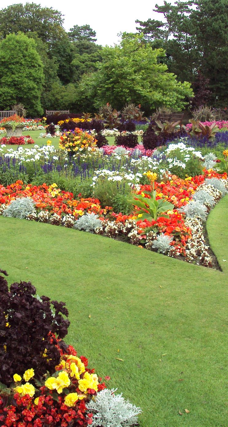 Beautiful Backyard Garden Colorful Garden
