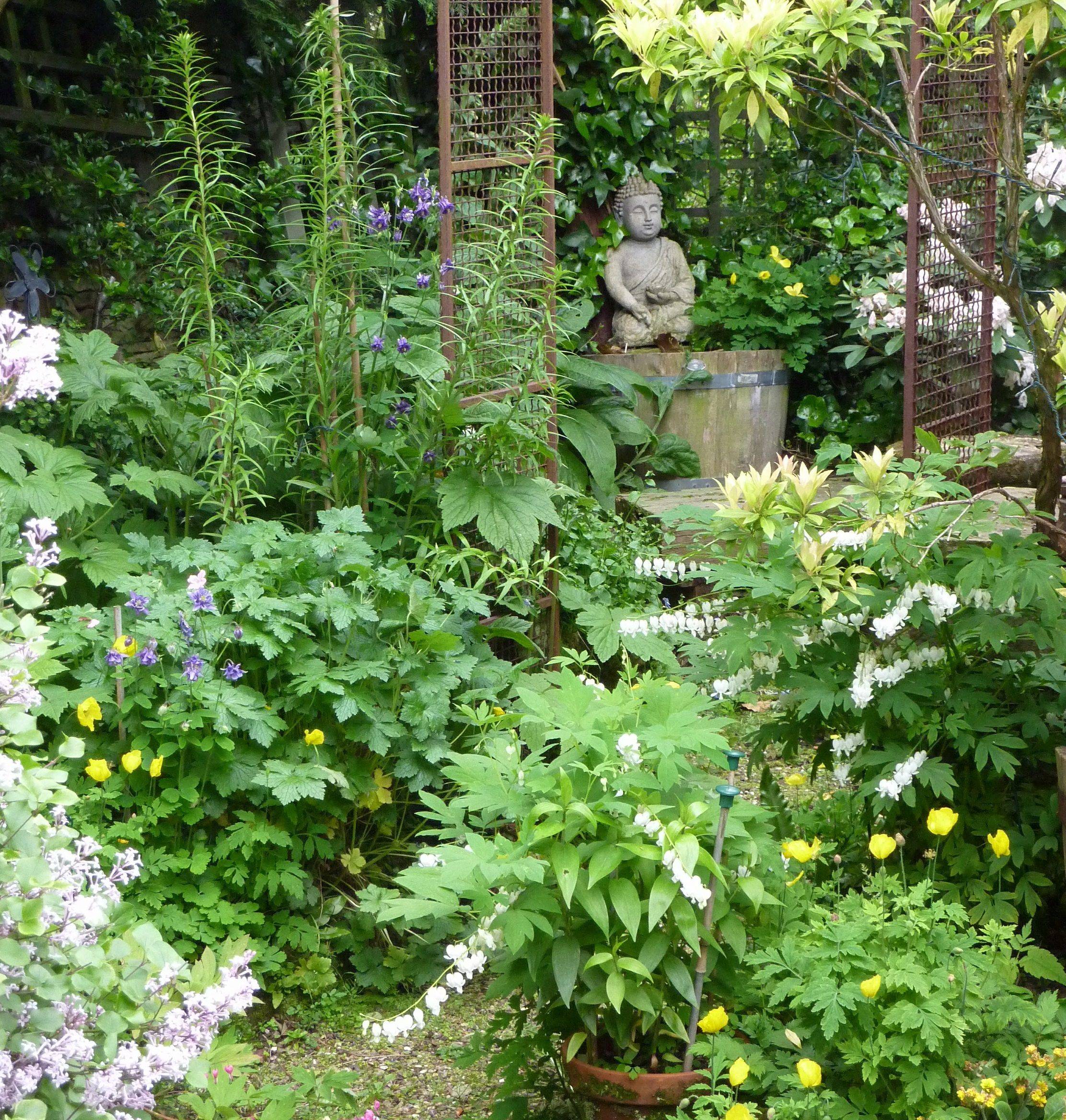 Curb Shrub Border Corner