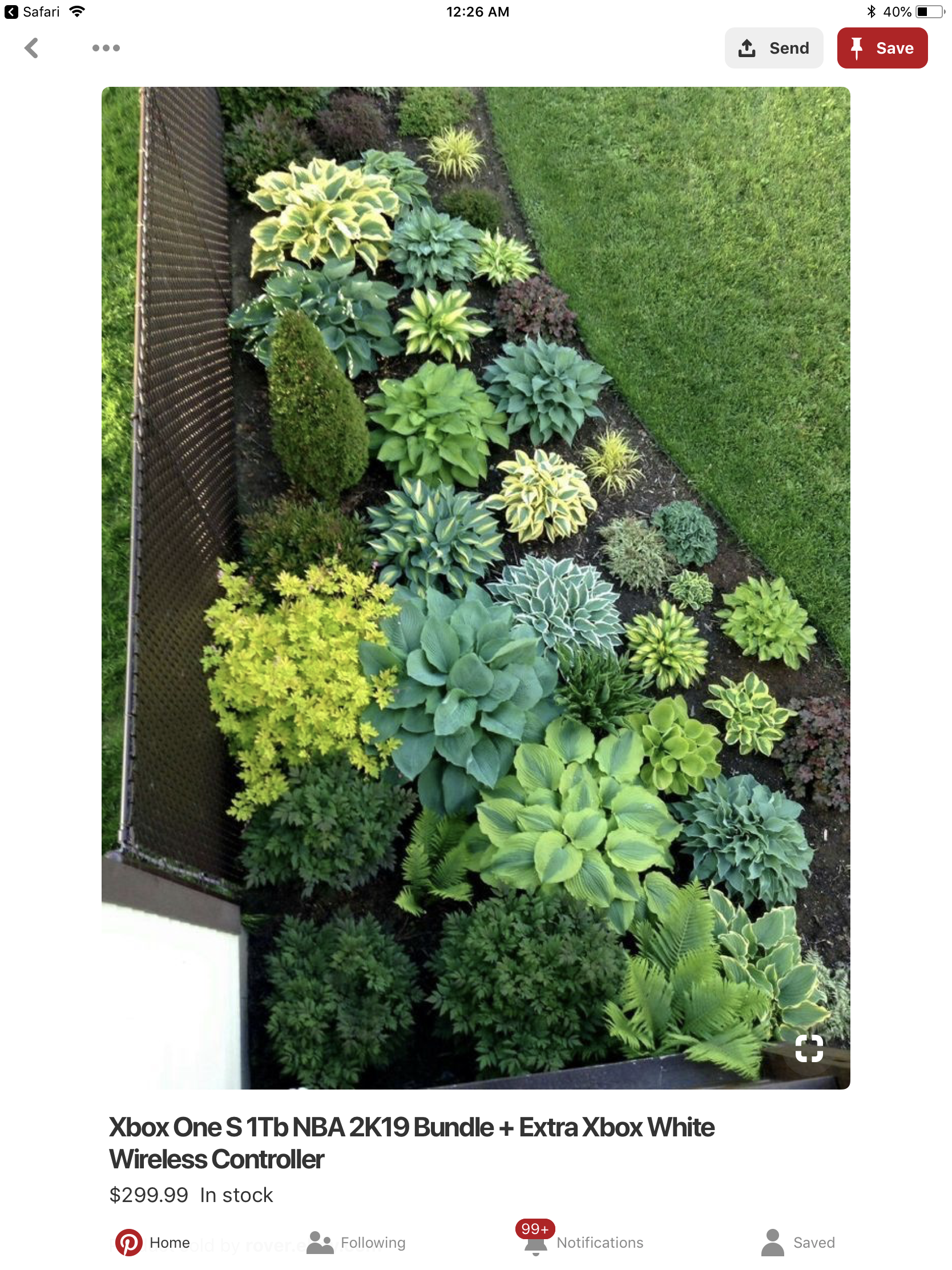 Shade Garden Design Ideas