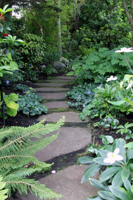 Shade Landscaping Garden Edging Ideas
