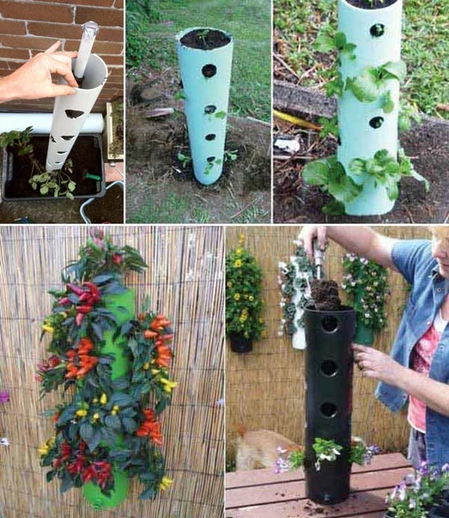 Plastic Pipe Greenhouses
