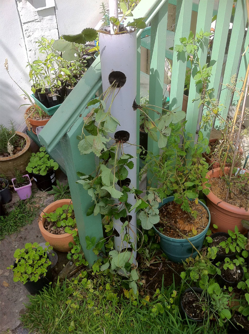 Top Cool Vertical Gardening Ideas Top Inspired