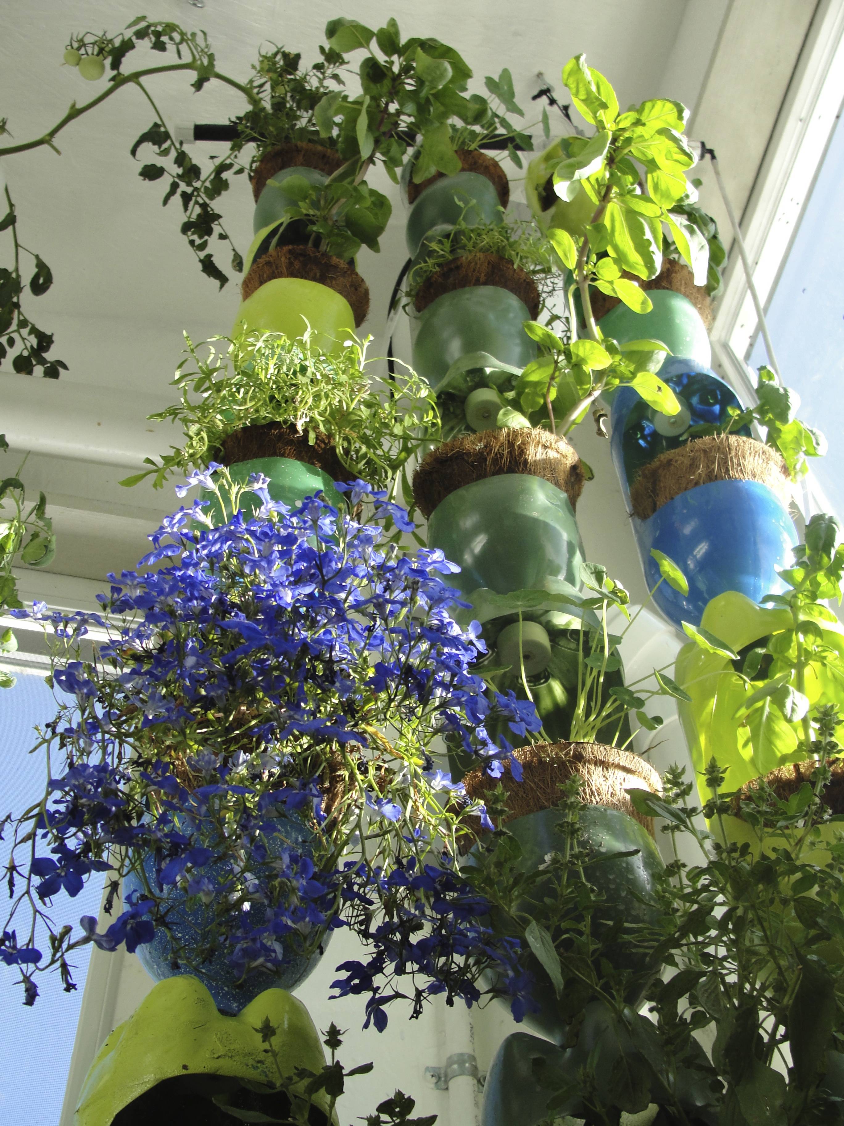 Plastic Bottle Vertical Garden Ideas