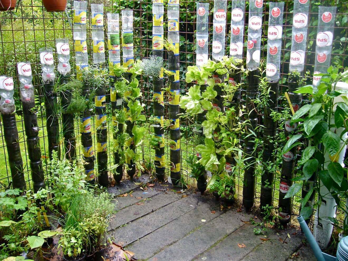 Clever Plastic Bottle Vertical Garden Ideas