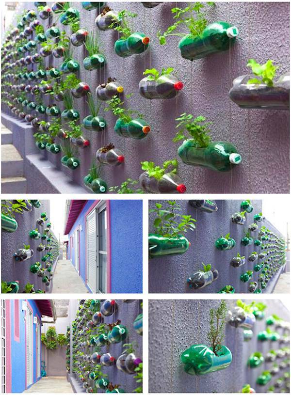 Clever Plastic Bottle Vertical Garden Ideas