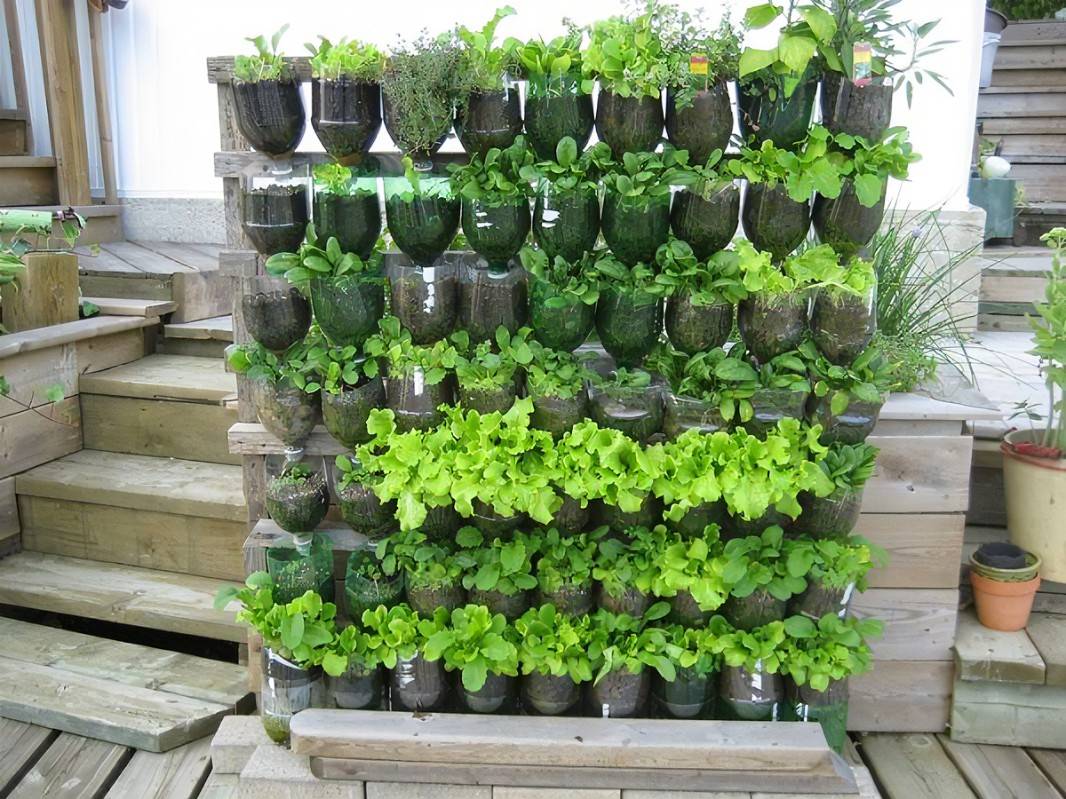 Clever Plastic Bottle Vertical Garden Ideas