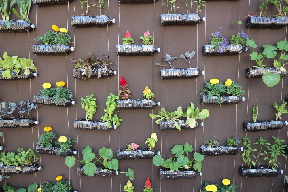 Recycled Soda Bottles Ceres Greenhouse