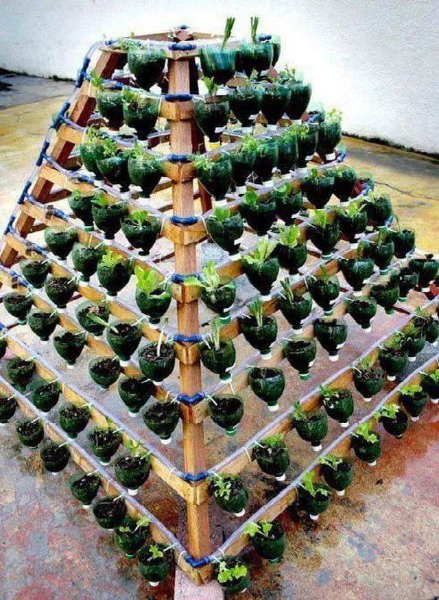 Brilliant Diy Vertical Garden Plastic Bottles