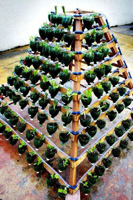 Favourite Vegetable Hydroponic Garden Ideas