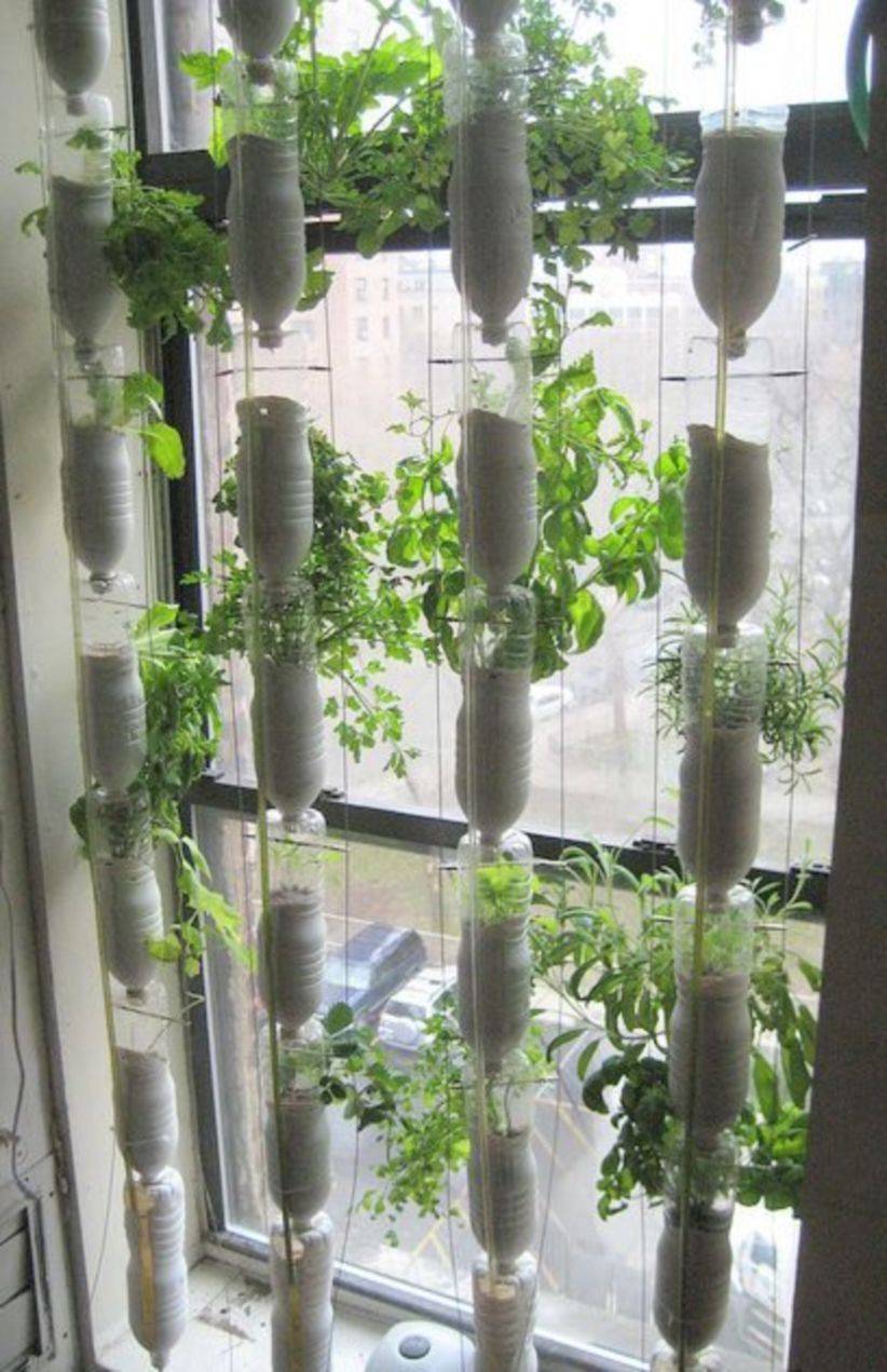 Diy Vertical Garden Plastic Bottles