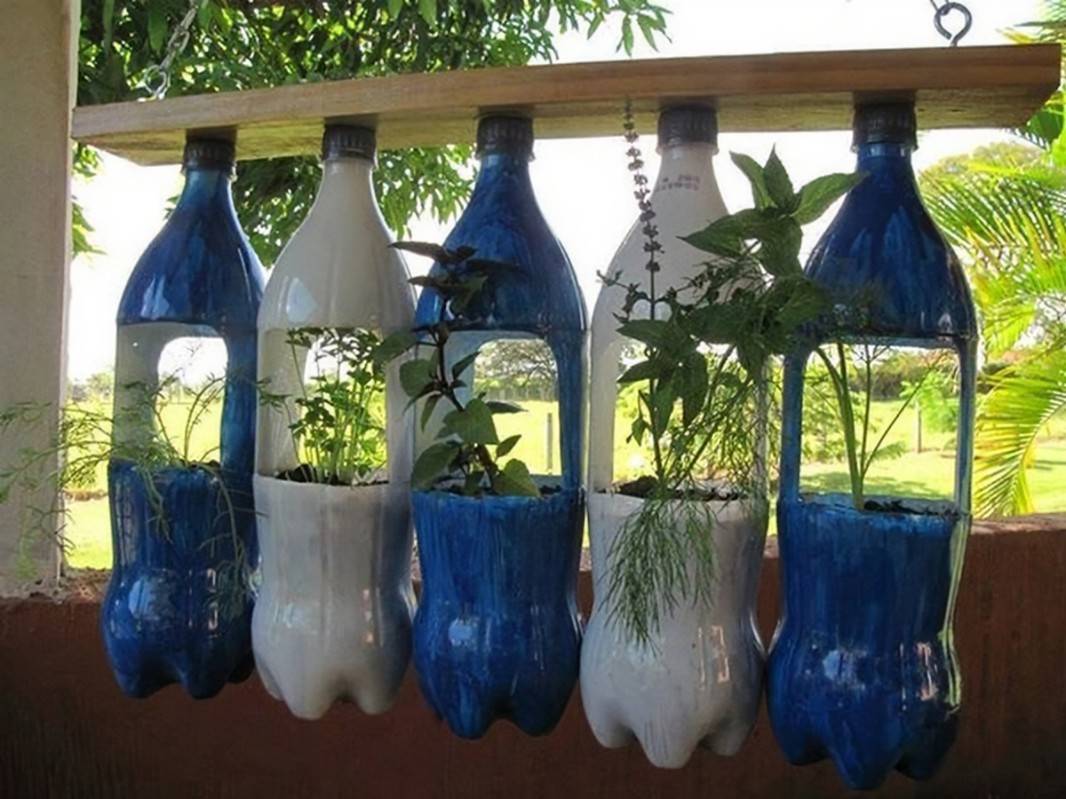 Diy Plastic Bottle Herb Hanging Garden Pictures