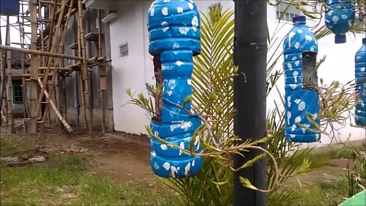 Old Plastic Bottles