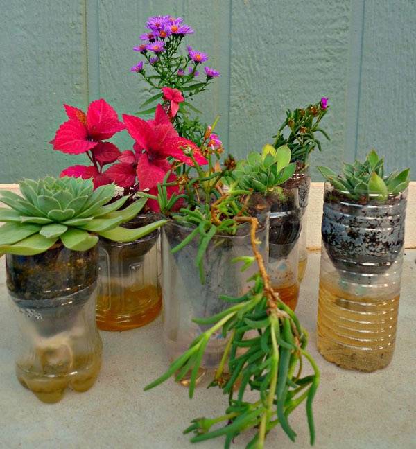 Brilliant Diy Vertical Garden Plastic Bottles