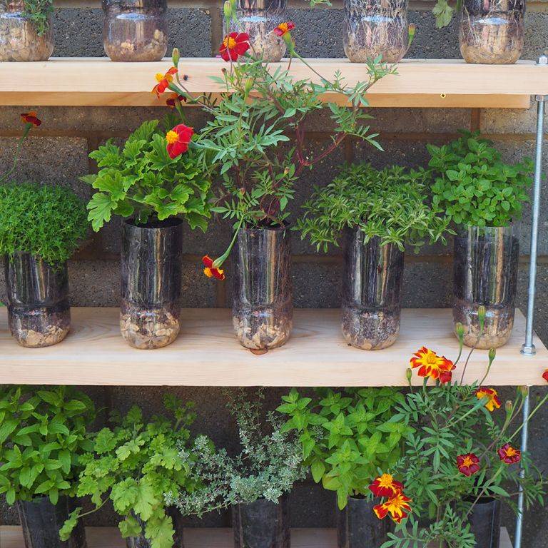Brilliant Plastic Bottle Garden Ideas