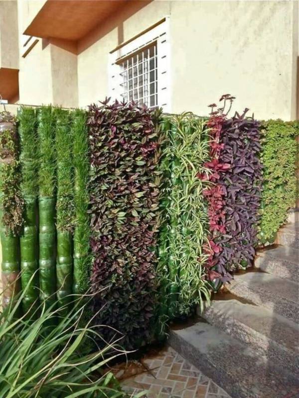 Brilliant Plastic Bottle Garden Ideas