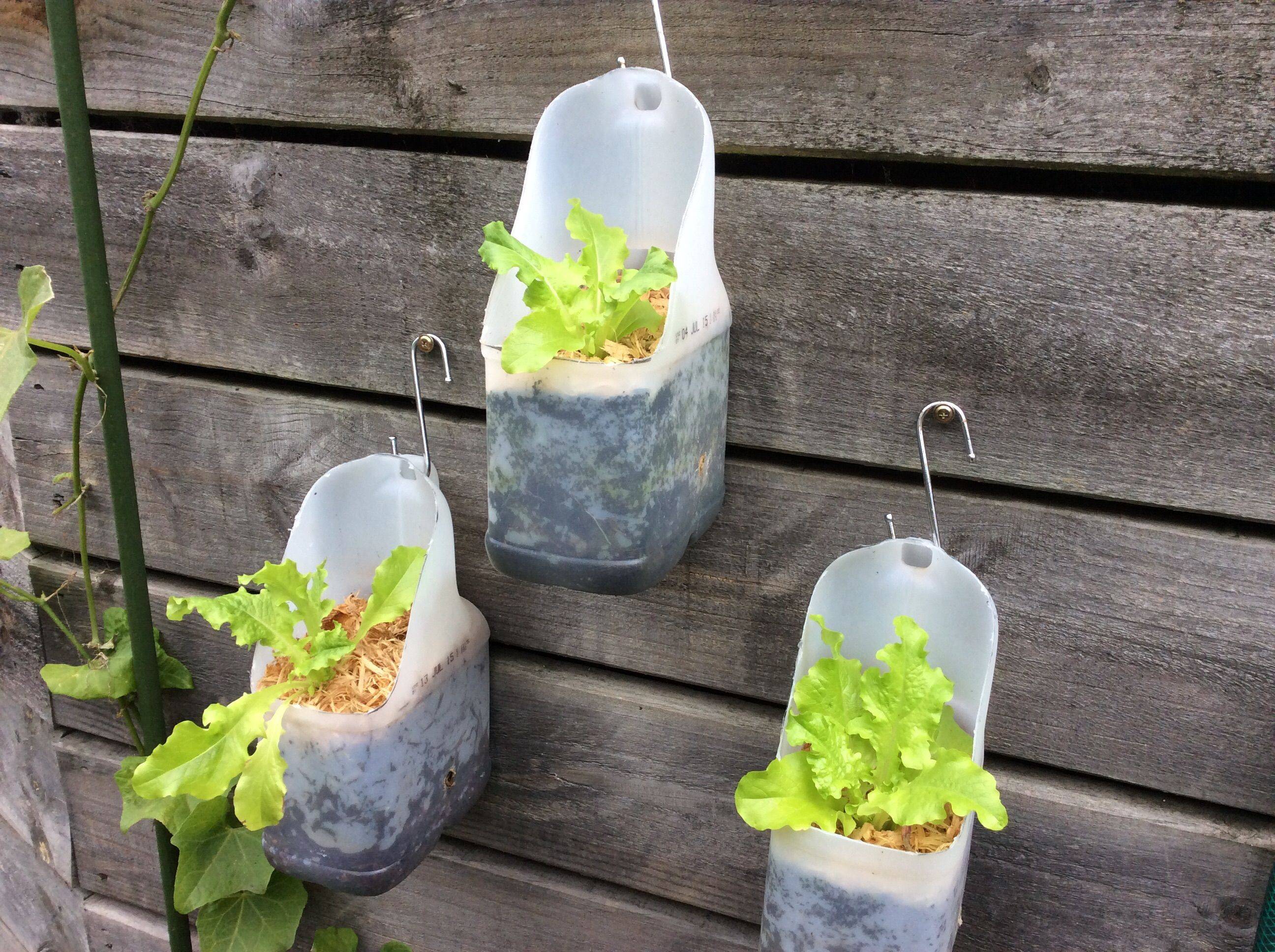 Brilliant Plastic Bottle Garden Ideas