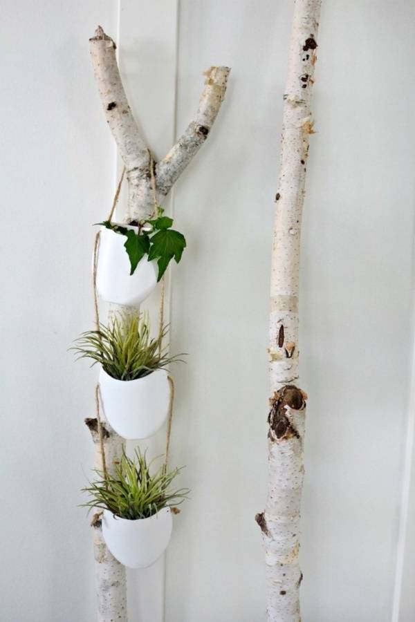 Brilliant Plastic Bottle Garden Ideas