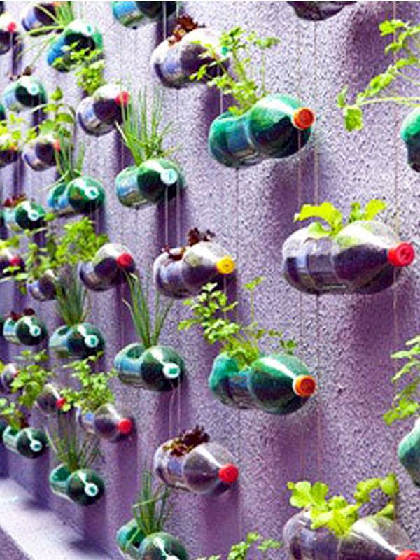 Upcycled Bottle Planters
