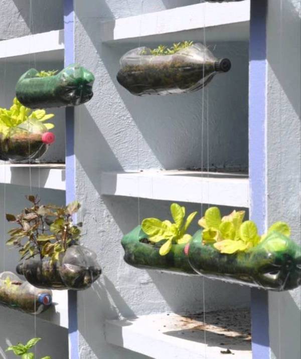 Brilliant Diy Vertical Garden Plastic Bottles