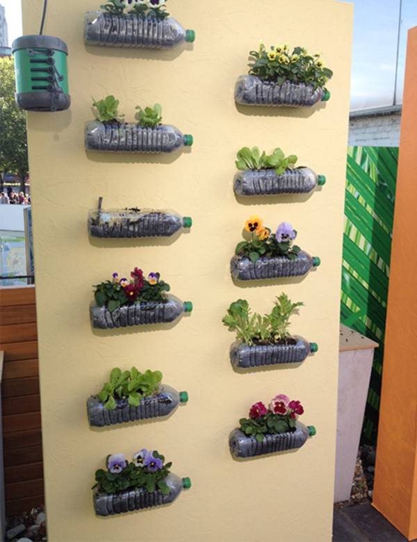 Brilliant Plastic Bottle Garden Ideas