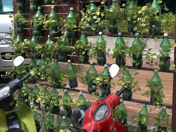 Brilliant Plastic Bottle Garden Ideas