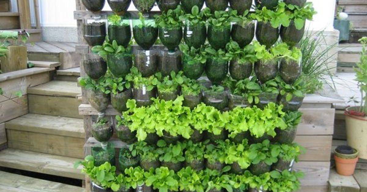Brilliant Plastic Bottle Garden Ideas