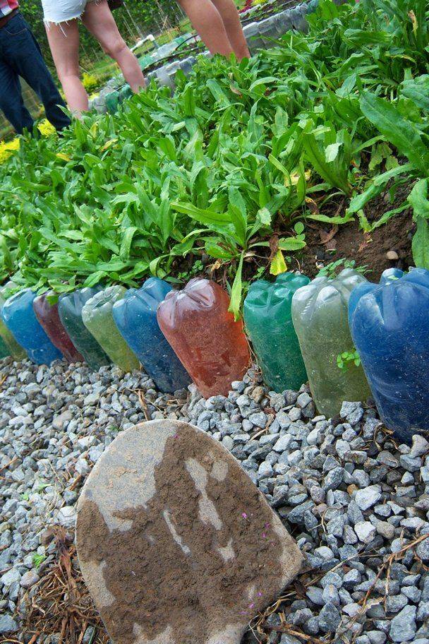 Plastic Bottles Garden Bottle Garden